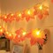 Perfect Holiday 20 LED MICRODOT MAPLE LEAF STRING LIGHTS, WARM WHITE,TOTAL LENGTH 2.2M, LEAD WIRE 30CM